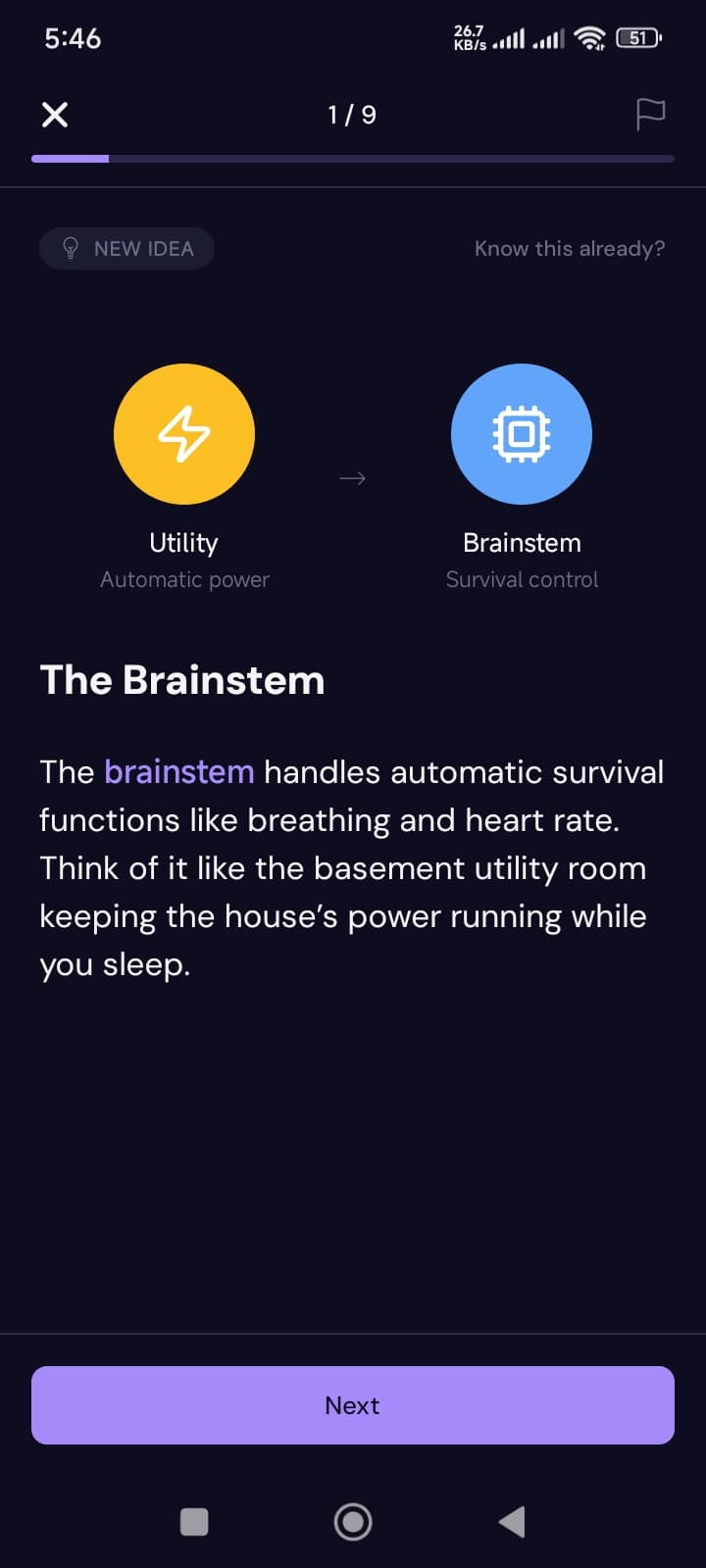 A Morso lesson slide on the brainstem with a simple diagram and a short explanation